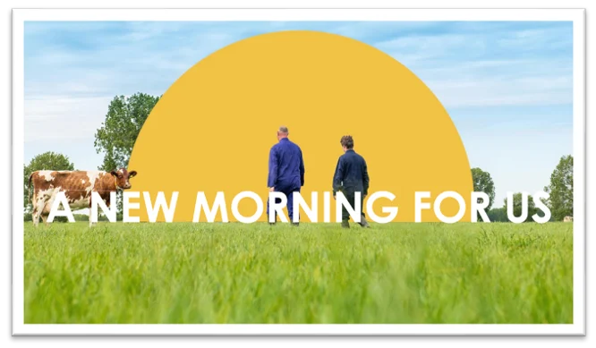 Integrating Sustainability into Marketing Strategy (Client: FrieslandCampina)