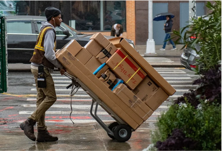 Sustainable Packaging for Retail, Food, & Grocery Delivery (Client: Global E-Commerce Platform)